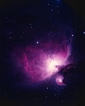 Eleria Orion Starwind