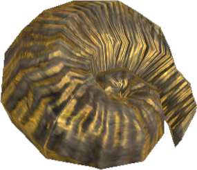 Picture of Part Of Fossil Ammonite