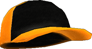 Picture of Colonist Standard Issue Cap (M)