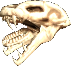 Picture of Atrox Skull