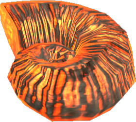 Picture of Fossil Ammonite