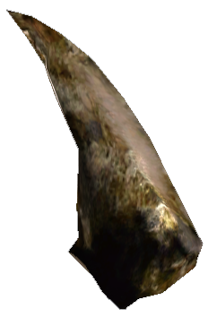 Picture of Beladoth Back Spike