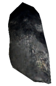 Picture of Tiarak Nail