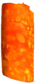 Picture of Jori Hide
