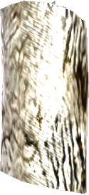 Picture of Cornundacauda Skin