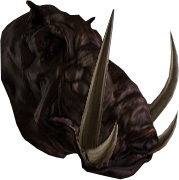 Picture of Boar Head