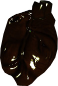 Picture of Boar Heart