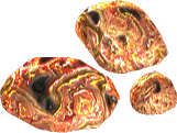 Picture of Veda Stones