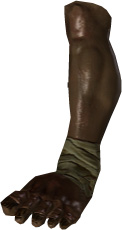 Picture of Cyclops Leg