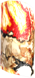 Picture of Berycled Skin