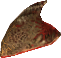 Picture of Allophyl Fin