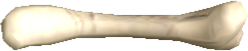 Picture of Atrox Bone