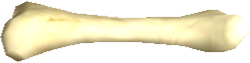 Picture of Atrax Bone