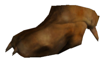 Picture of Kiana Paw