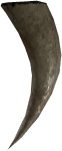 Picture of Boar Tusk