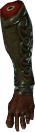 Picture of Minotaur Leg