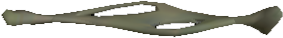 Picture of Foul Bone