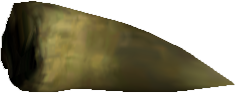 Picture of Atrax Claw