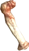 Picture of Chomper Bone