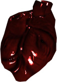 Picture of Papoo Heart