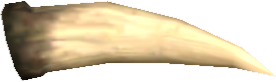 Picture of Shinkiba Tusk