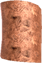 Picture of Shinkiba Skin