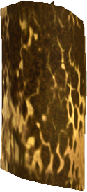 Picture of Araneatrox Skin