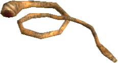Picture of Allophyl Tentacle