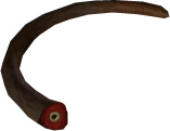 Picture of Papoo Tail