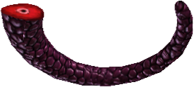 Picture of Garcia Tail