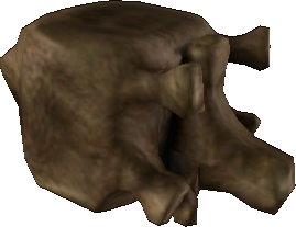 Picture of Proteron Neck Bone
