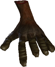 Picture of Papoo Foot