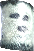 Picture of Phasm Hide