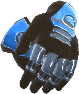 Picture of Aurora Gloves (L)