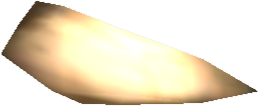 Picture of Argonaut Claw Small