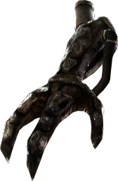 Picture of Young Argonaut's Claws (L)