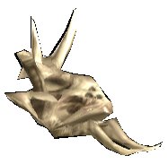 Picture of Caudatergus Trophy