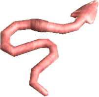 Picture of Devil's Tail