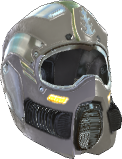 Picture of Bear Helmet (L)