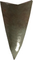 Picture of Shark Tooth