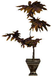Picture of Potted Oriental Large Plant
