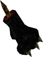 Picture of Wolf Paw
