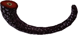 Picture of Joplin Tail