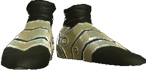 Picture of Carramone Foot Guards