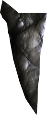 Picture of Lemmy Wing