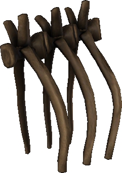 Picture of Proteron Ribs
