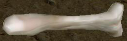 Picture of Bone