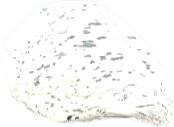 Picture of Lysterium Stone