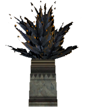Picture of Potted Wild Plant