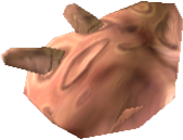 Picture of Aurli Shock Flesh